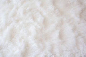 White Fluffy Rug Texture Background