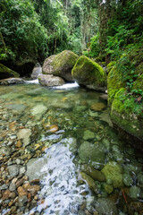 Fototapeta premium Beautiful view to tropical green rainforest crystal clear water pool