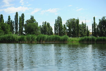Fototapeta na wymiar A river flowing along trees, shrubs and grass.