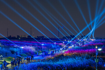 서울 마포 하늘공원 축제