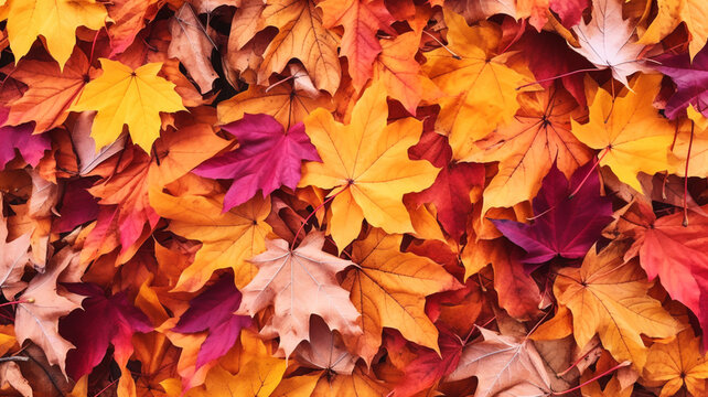 紅葉した落ち葉 秋 メープル| autumn leaves, Generative AI