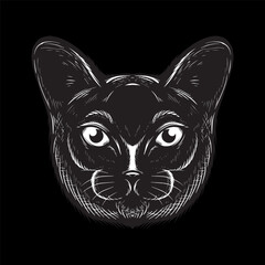 black cat face