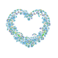 Forget-me-not flowers heart frame hand-drawn on white background. Tender watercolor illustration of flower heads isolated. Meadow wildflower scillfully painted for logo, postcards, invitations