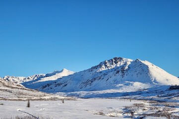 Space X Rocket Arizona