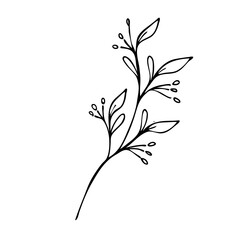 Line Art Floral Leaves Flower Vector Illustration
