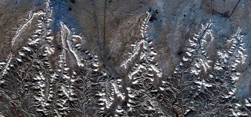 the dew in the forest,  photography of the deserts of Africa from the air. aerial view of desert landscapes, Genre: Abstract Naturalism, from the abstract to the figurative,