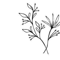Line Art Floral Leaves Flower Vector Illustration
