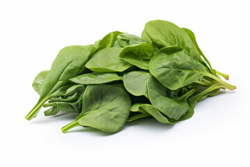 Fresh Spinach Leaves on White Background