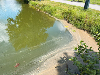 Water Contamination and Environmental Impact. Bad ecology. Polluted water. No swimming.