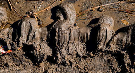 close up view of the mud