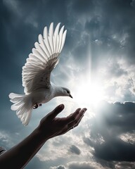 A pair of hands releasing a white dove into the open sky