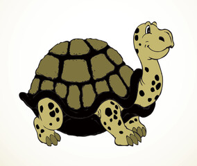 The big turtle. Vector drawing