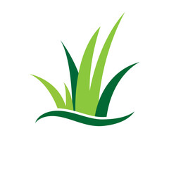 Green grass vector icon, grass logo template, green grass vector icon flat illustration isolated on white background.