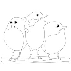 three birds on a branch coloring page for coloring book