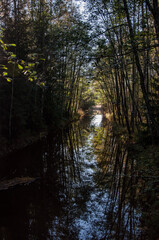 Obraz premium A small river through forests in autumn in Western Finland
