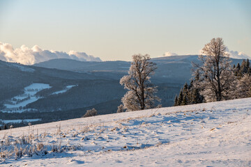 Snowy trees on the hill at the Sumava national park