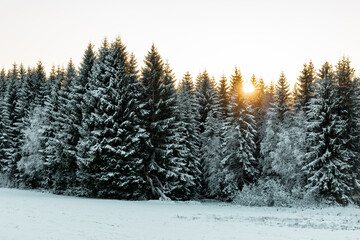 Beautiful sunset at the Sumava national park in winter