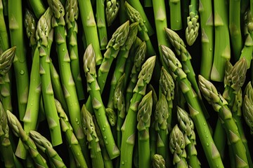 Fototapeta premium Asparagus background