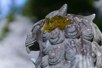 宮昌寺