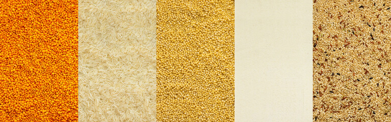 Various grain cereals banner, top view, orange lentils and white rice, couscous and semolina, brown rice
