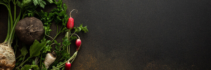 Parsley and selera roots with tops, black and red radish close-up on a brown background, top view, healthy autumn seasonal roots banner, copy space