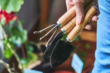 Crop person with gardening tools outdoors