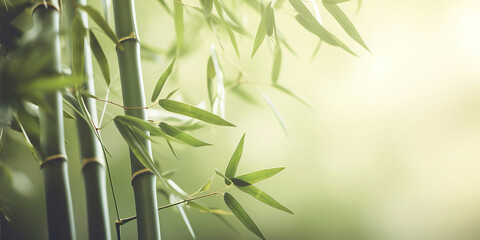 Fototapeta na wymiar Lush green bamboo leaves in natural environment. A symbol of growth and harmony.