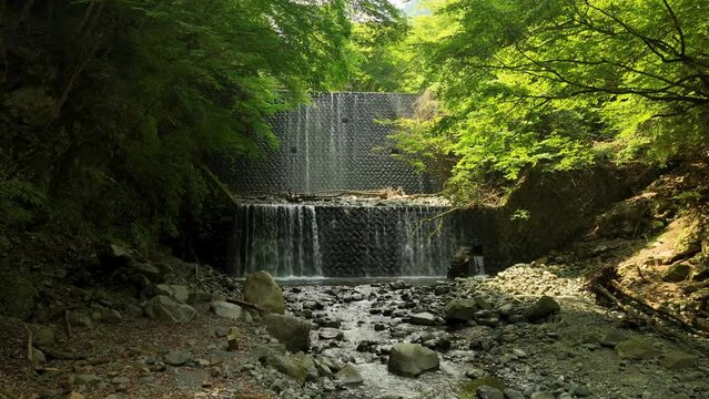 森の中の砂防ダムから流れ落ちる滝と川