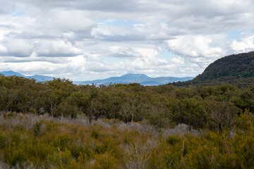 Naklejka premium View over natural bushland to distant mountains under a cloudy sky. Mount French National Park, Scenic Ring, Queensland, Australia.