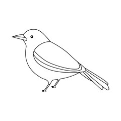 Continuous one line drawing of aesthetic bird outline vector drawing