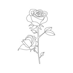 One line art rose flower vector outline illustration 