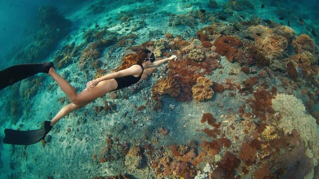 Sexy woman freedives. Young fit female freediver swims underwater over the healthy coral reef near the island of Nusa Penida in Bali, Indonesia
