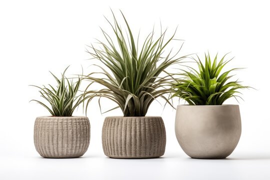 Imitation plants in modern cement, fiberclay, and lightweight concrete pots isolated on white.