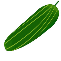 cucumber isolated on white