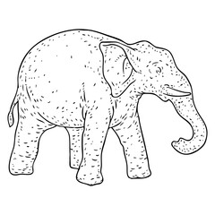 vintage elephant statue sketch vector illustration