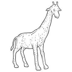vintage giraffe statue sketch vector illustration