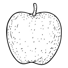 vintage apple sketch vector illustration