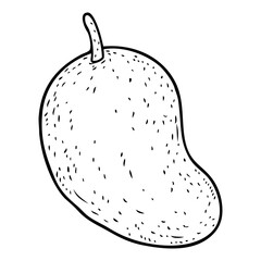 vintage mango sketch vector illustration
