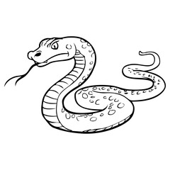 viper snake sketch vector illustration