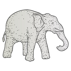 vintage elephant statue vector illustration