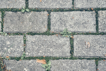 Paving slabs. Seamless textures, amenable to stacking, close-up rows. Paving slabs, copy space. Covering with modern textured paving slabs of square shape. High quality photo