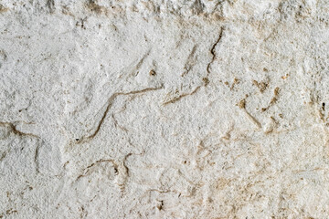 Texture of a lime-whitewashed roughly plastered wall in the dust