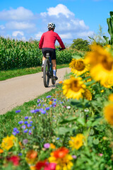 nice senior woman cycling with her electric mountain bike in a blooming sunflower field