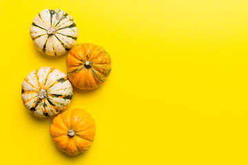 Autumn composition of little orange pumpkins on colored table background. Fall, Halloween and...