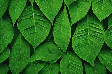 green leaf background. green leaf texture, nature background