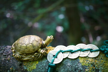 A metal turtle with Chinese coins. The feng shui symbol. Attracting good luck and money.