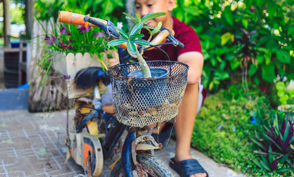 Asian boys have found old bicycles by turning them into flower pots for their homes.This creative idea not only makes use of discarded items but also creates a beautiful and sustainable garden design