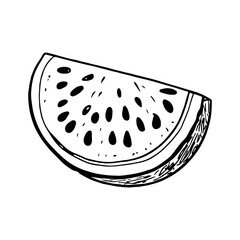 Vector illustration. Juicy watermelon silhouette. Coloring.