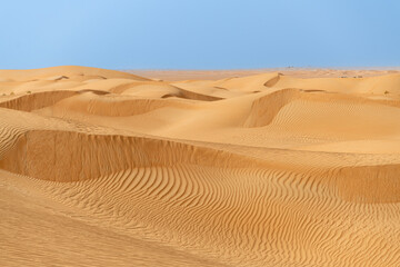 Lonely Golden Sand Dunes Under Bright Blue Sky. Desert Landscape