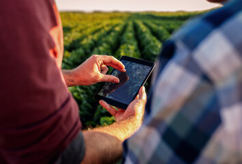 Two farmers standing in a field examining soy crop and using tablet.